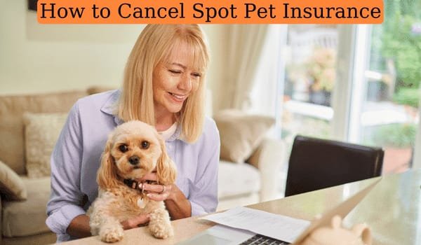 Pet Insurance Plans That Actually Save You Money