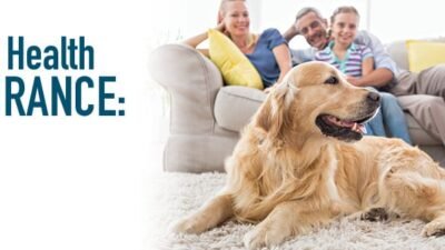 Pet Insurance Plans That Actually Save You Money