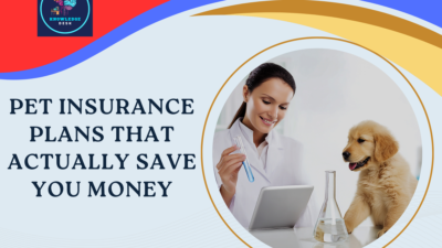 Pet Insurance Plans That Actually Save You Money