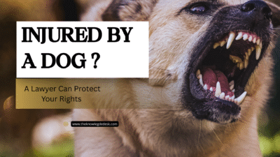 Dog Bite Attorney